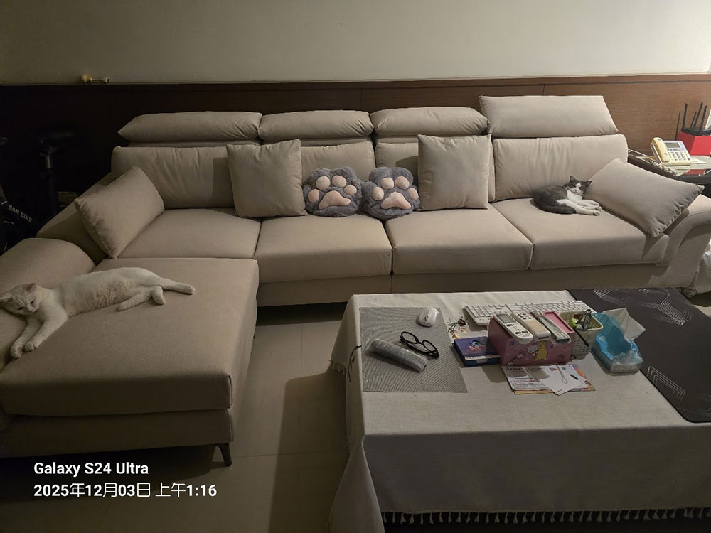 YKS 亞伯特L型貓抓布沙發｜台中客人客廳不開燈實際擺放效果｜擇木深耕系列熱銷款