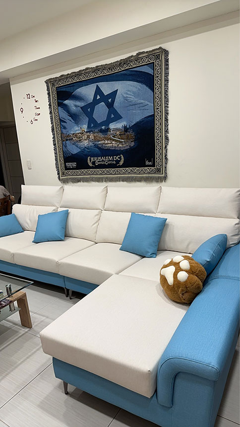 YKS亞伯特L型貓抓皮沙發｜台南安平張小姐客製跳色開箱實拍