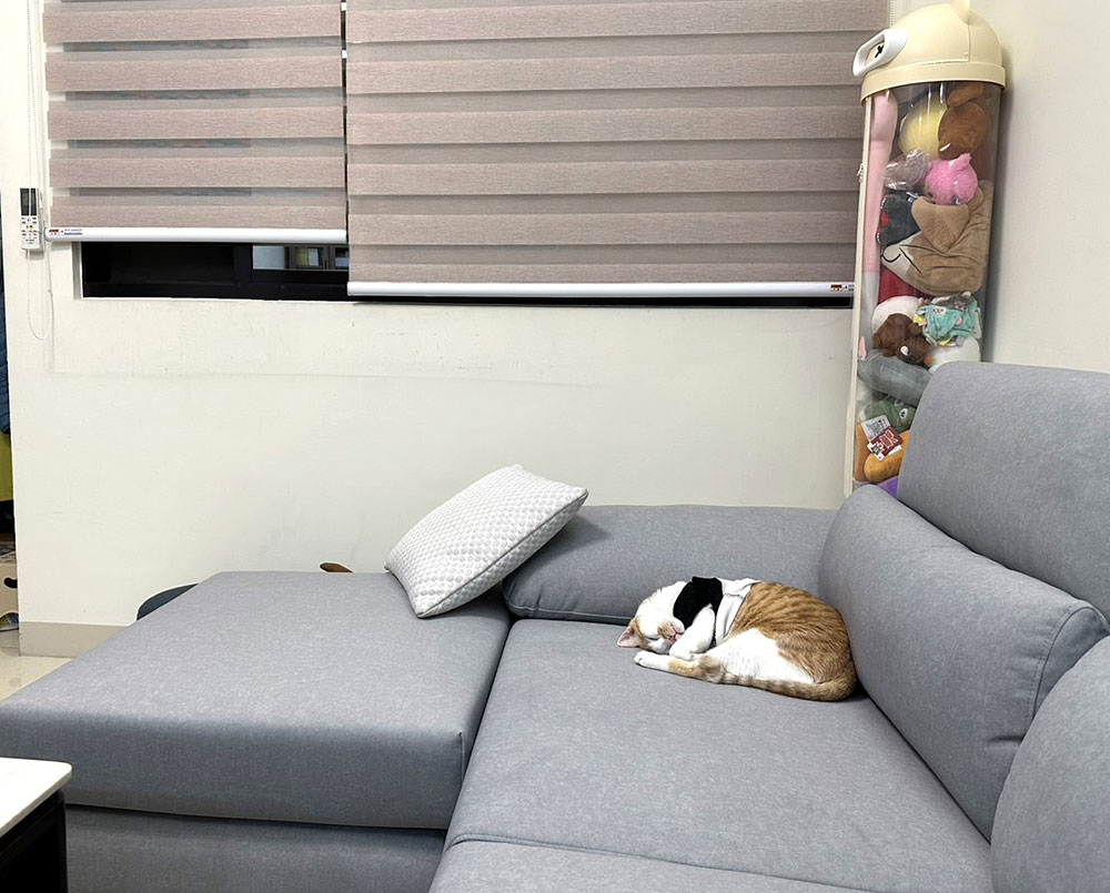 YKS 多麗絲L型布沙發(客製貓抓布)｜屏東長治洪小姐開箱實拍沙發側面｜貓抓布耐用親子毛孩家庭推薦