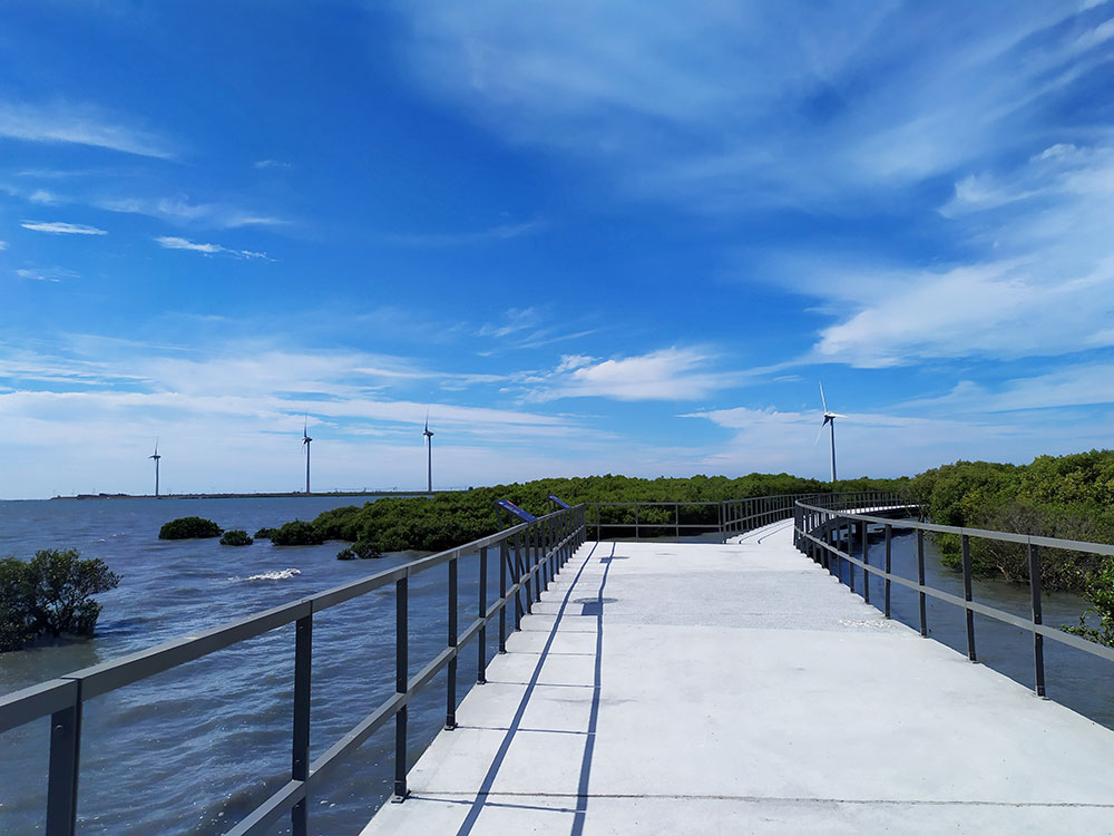 芳苑濕地天空步道景觀
