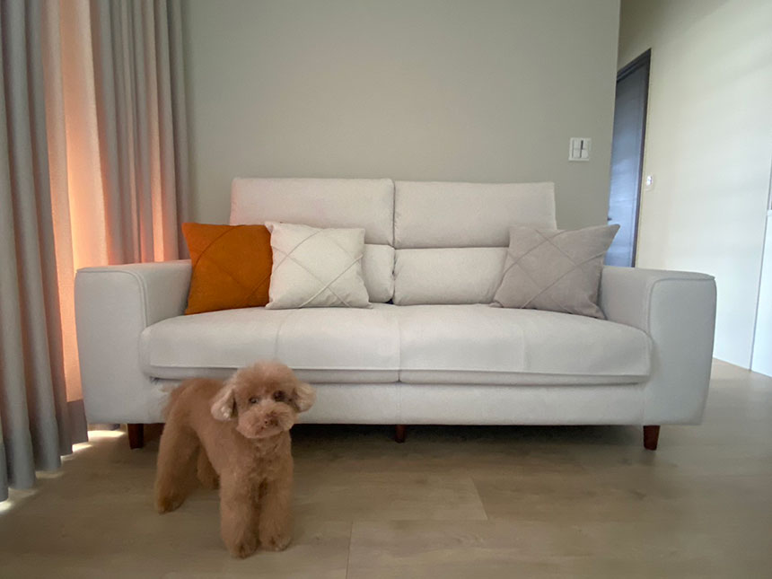 客製開箱-弗洛拉貓抓布沙發