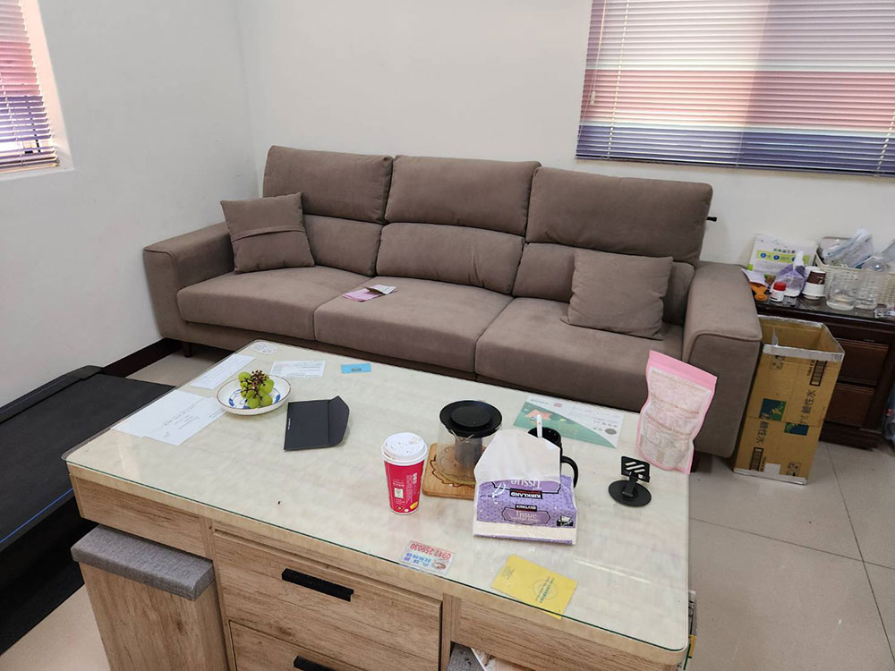 弗洛拉一字型貓抓布沙發｜客製尺寸與客廳搭配實景｜YKS沙發