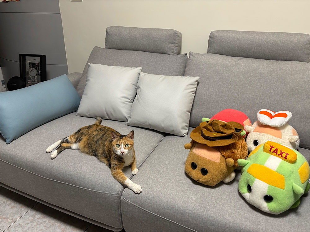 YKS 喬治亞三人座貓抓布沙發｜可愛的小貓咪躺在有玩偶佈置的沙發上｜擇木深耕系列熱銷款