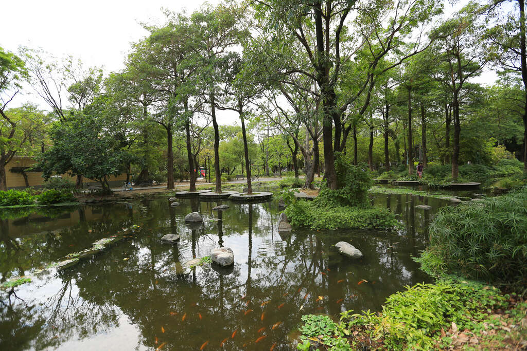 高雄大東濕地公園綠意與水景