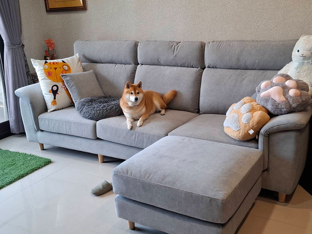 蕾貝卡 L 型布沙發｜台中西屯莊小姐客廳實拍｜YKS 沙發