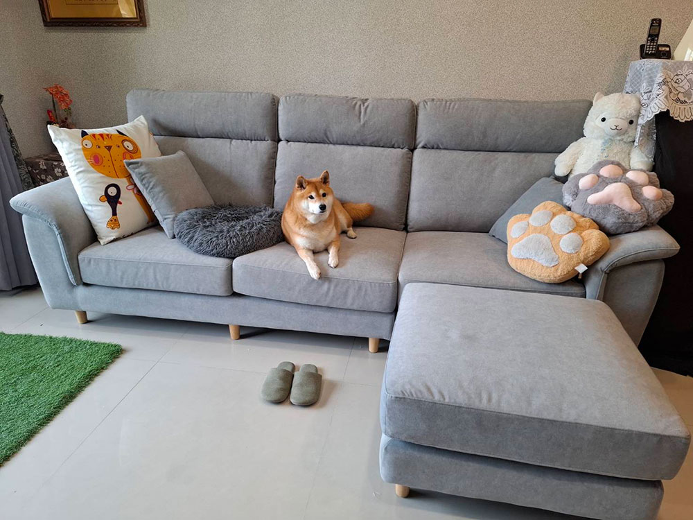 蕾貝卡 L 型布沙發｜台中客實拍沙發與狗狗合影｜YKS 沙發