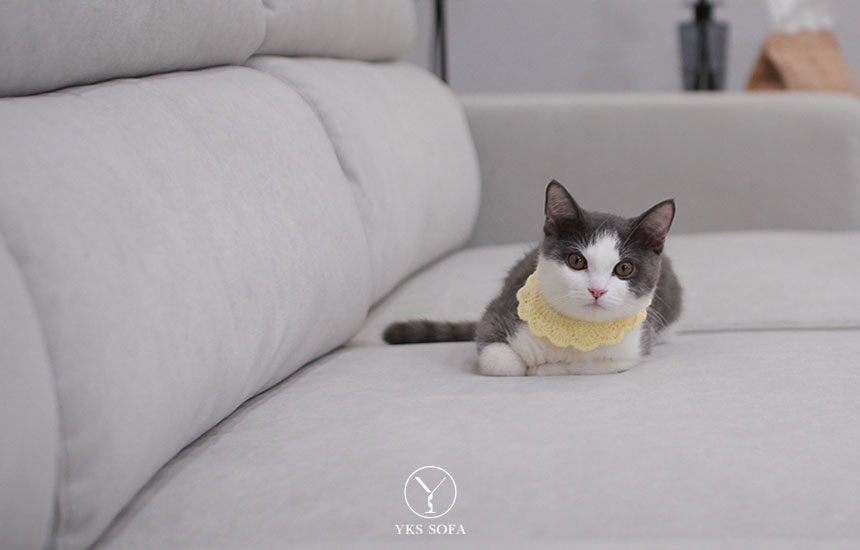 有毛孩/小孩的家庭，為什麼建議選防勾紗貓抓布？