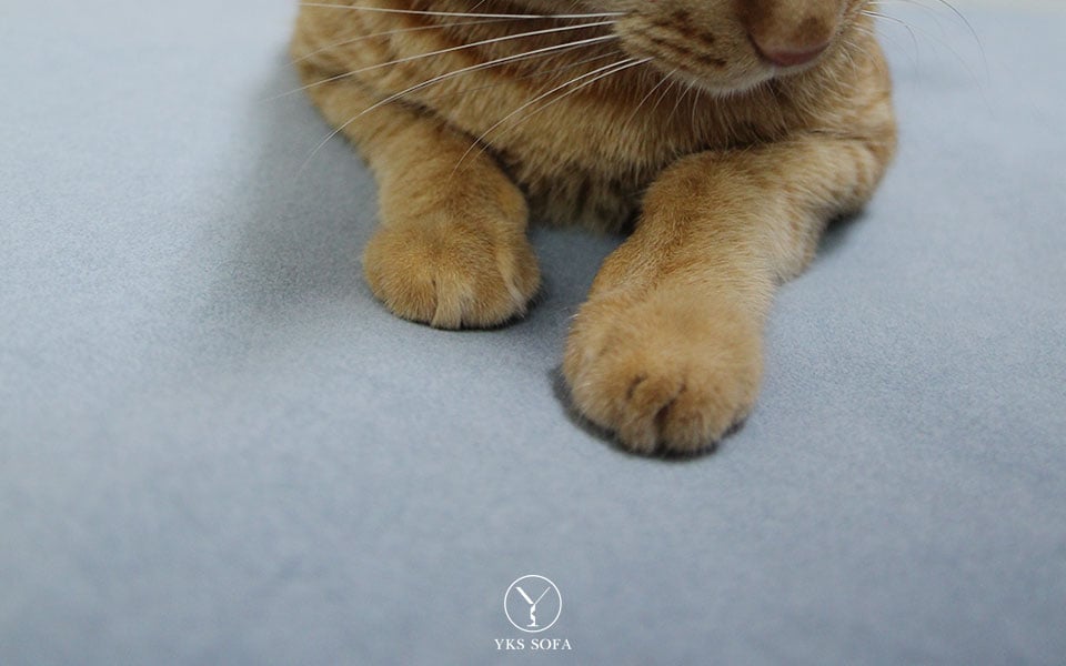 貓抓布沙發表面纖維結構與絨面觸感特寫